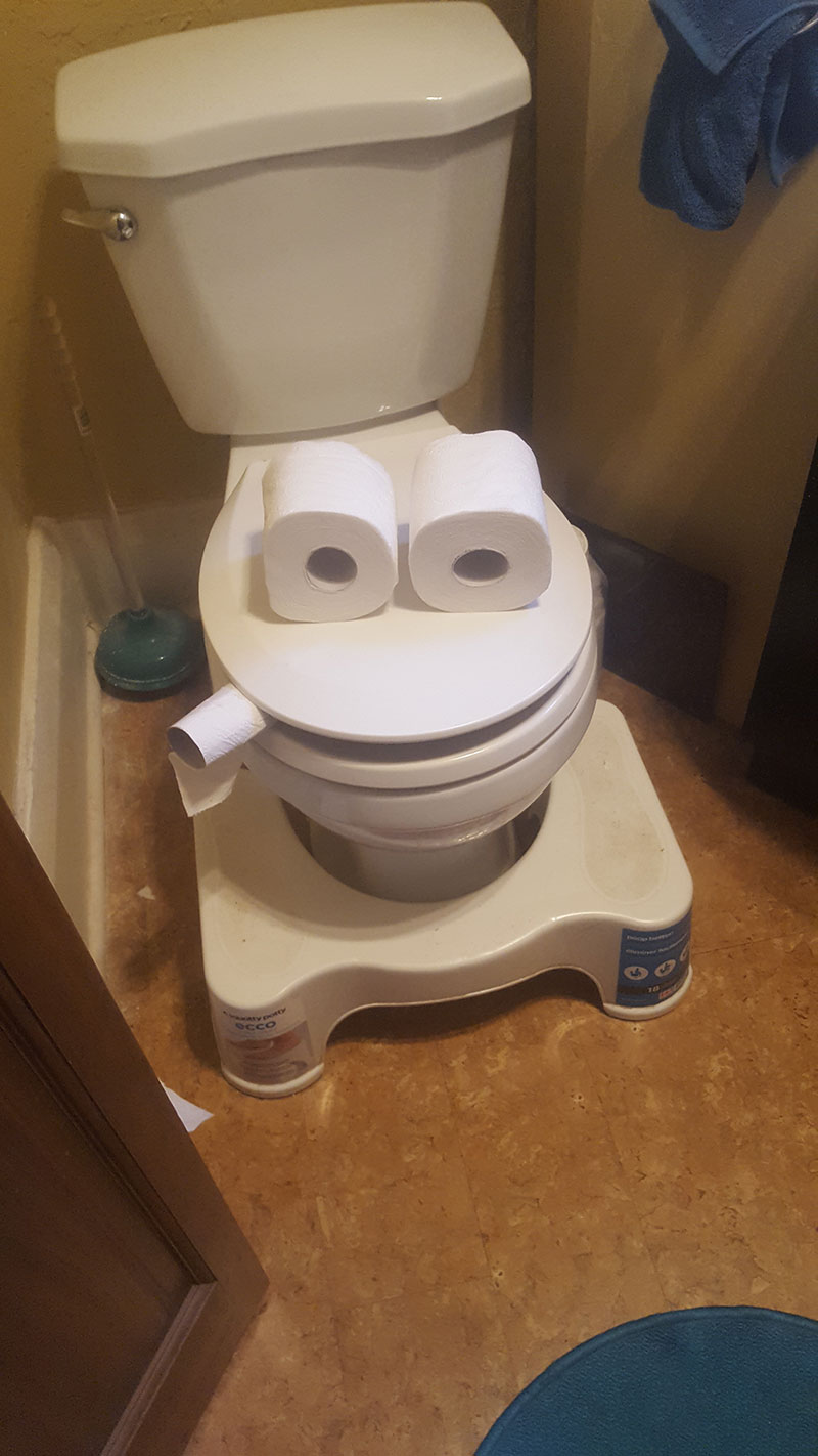 A photo of two toilet paper rolls on the toilet lid to depict a set of eyes and a smaller toilet paper roll stuck between the lid and the toilet to depict a cigarette