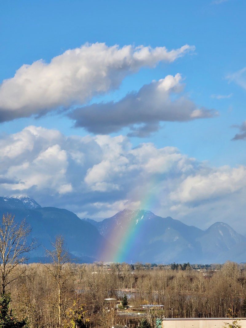 clinging to His promises